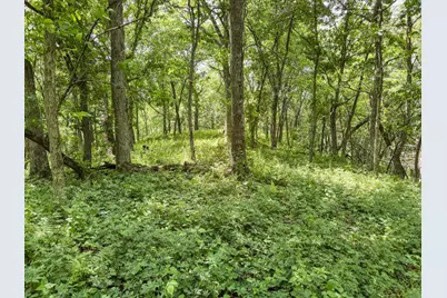 00 Dopp, Ettrick, WI 54627 - Photo 44