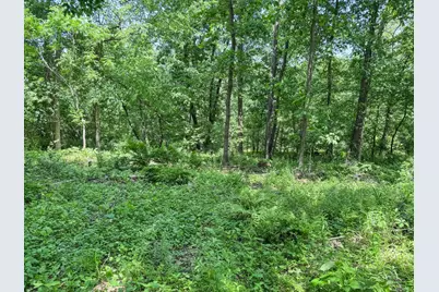 00 Dopp, Ettrick, WI 54627 - Photo 48