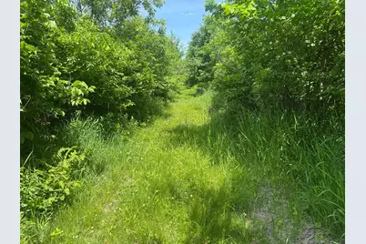 00 Dopp, Ettrick, WI 54627 - Photo 32