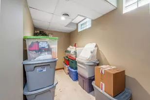 11990 380th Ave, Blue Earth, MN 56013 - Photo 30