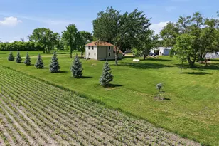 3127 150th St N, Glyndon, MN 56547 - Photo 32