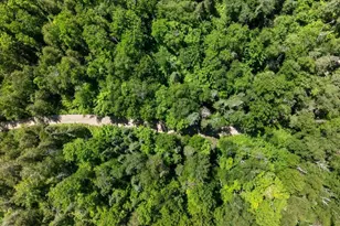 6908 Rogers Point Rd NW, Walker, MN 56484 - Photo 58