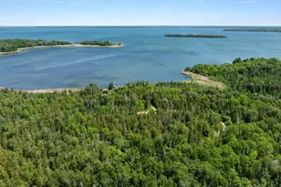 6908 Rogers Point Rd NW, Walker, MN 56484 - Photo 54