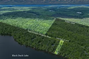10749 Lambert Rd, Orr, MN 55771 - Photo 2
