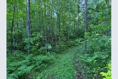 Tbd Shady Lane, Trego, WI 54888 - Photo 6