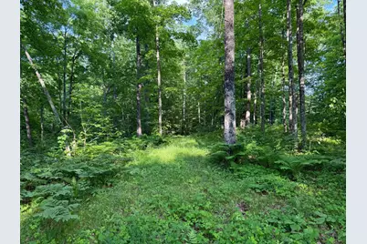 Tbd Shady Lane, Trego, WI 54888 - Photo 26