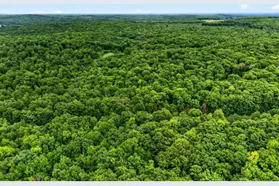 Tbd Shady Lane, Trego, WI 54888 - Photo 14