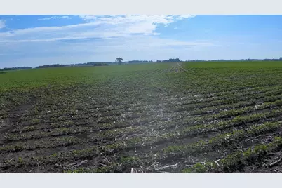 Tbd Highway 218, Owatonna, MN 55060 - Photo 18