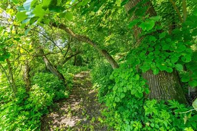 37598 2nd Star Isle, Dent, MN 56528 - Photo 6