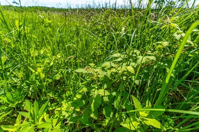 37598 2nd Star Isle, Dent, MN 56528 - Photo 52