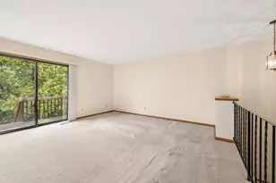 336 W 5th St, Waconia, MN 55387 - Photo 4