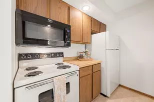 336 W 5th St, Waconia, MN 55387 - Photo 10