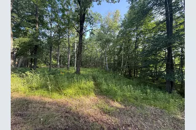 Tbd Cr-109, Merrifield, MN 56465 - Photo 6