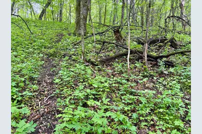 Lot 1 160th Ave, Maiden Rock, WI 54750 - Photo 32