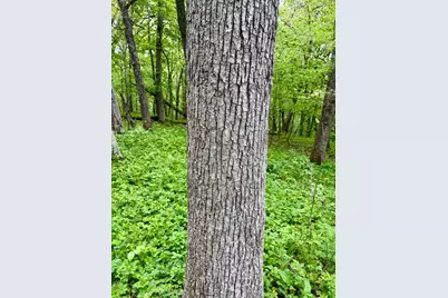 Lot 1 160th Ave, Maiden Rock, WI 54750 - Photo 30