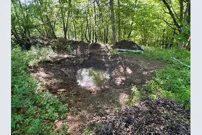 Lot 1 160th Ave, Maiden Rock, WI 54750 - Photo 42