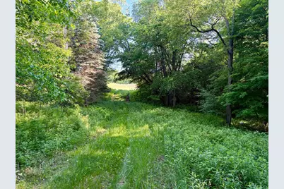Lot 1 160th Ave, Maiden Rock, WI 54750 - Photo 38