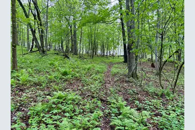 Lot 1 160th Ave, Maiden Rock, WI 54750 - Photo 34