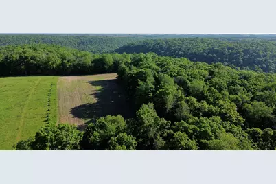 Lot 1 160th Ave, Maiden Rock, WI 54750 - Photo 14