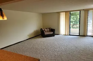 625 19th St NW, Rochester, MN 55901 - Photo 40