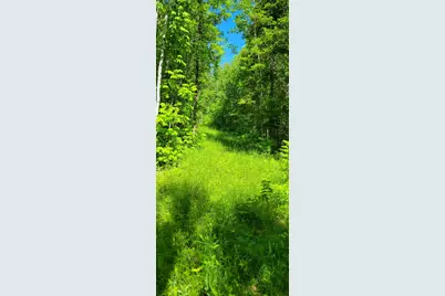 1634 County Road 117, Baudette, MN 56623 - Photo 32