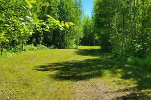 1634 Town Rd 117, Baudette, MN 56623 - Photo 30