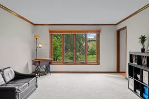 17030 30th Ave N, Plymouth, MN 55447 - Photo 26