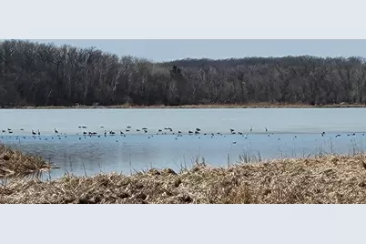 512Xx Leaf River Road Tract A, Ottertail, MN 56571 - Photo 14