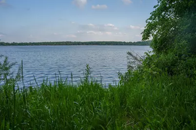 Tbd Chippewa Heights NW, Brandon, MN 56315 - Photo 12