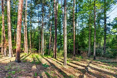 9734 E Acorn Drive, Gordon, WI 54838 - Photo 2