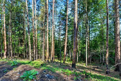 9734 E Acorn Drive, Gordon, WI 54838 - Photo 4