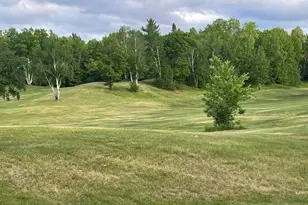354 Quadna Mountain Rd, Hill City, MN 55748 - Photo 32