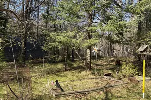 10912 S Fork Rd, Hazelhurst, WI 54531 - Photo 4