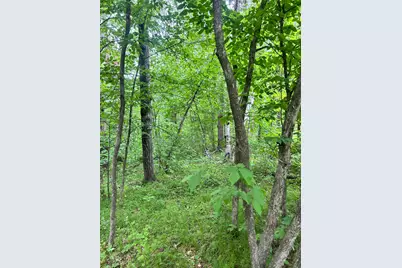 Tbd County Rd 16, Cushing, MN 56443 - Photo 2