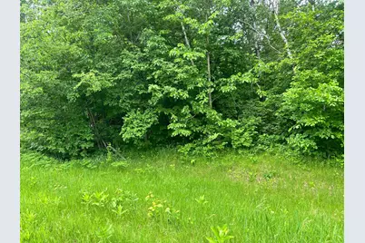 Tbd County Rd 16, Cushing, MN 56443 - Photo 4