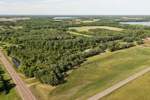 6897 95th Ave SE, Clear Lake, MN 55319 - Photo 40