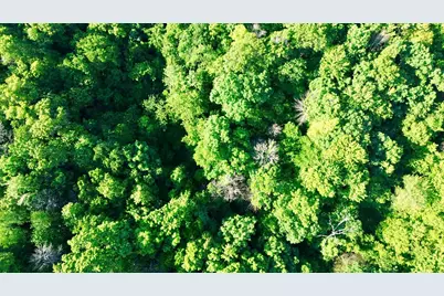Lot 2 160th Ave, Maiden Rock, WI 54750 - Photo 16