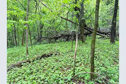Lot 2 160th Ave, Maiden Rock, WI 54750 - Photo 26