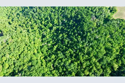 Lot 2 160th Ave, Maiden Rock, WI 54750 - Photo 6