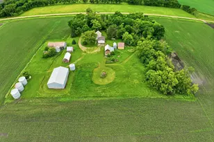 15953 75th St SW, Prinsburg, MN 56281 - Photo 4