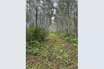 10750 Groningen Road, Sandstone, MN 55072 - Photo 10