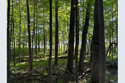 Tbd Sathre Lane, Shell Lake, WI 54871 - Photo 18