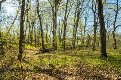 Tract 3 - Tbd State Highway 108, Pelican Rapids, MN 56572 - Photo 24