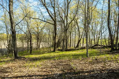 Tract 3 - Tbd State Highway 108, Pelican Rapids, MN 56572 - Photo 20