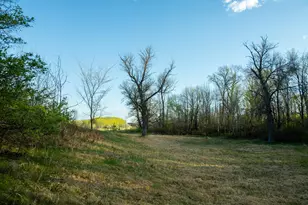 Tract 4 - Tbd State Hwy 108, Pelican Rapids, MN 56572 - Photo 16