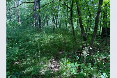 Tbd 270th Street, Sebeka, MN 56477 - Photo 38