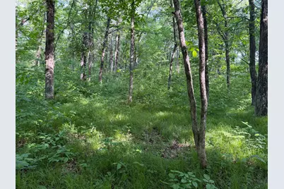 Tbd 270th Street, Sebeka, MN 56477 - Photo 36