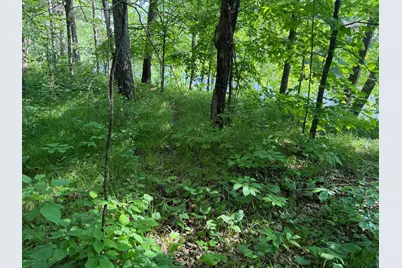 Tbd 270th Street, Sebeka, MN 56477 - Photo 40