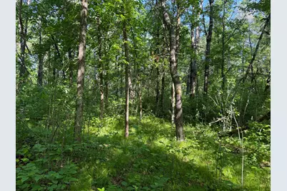 Tbd 270th Street, Sebeka, MN 56477 - Photo 24