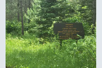 1045B State Trail, Nevis, MN 56467 - Photo 4